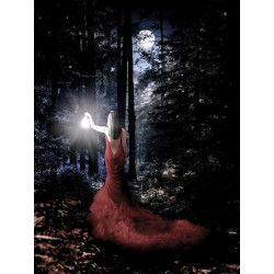 FOREST FAIRY