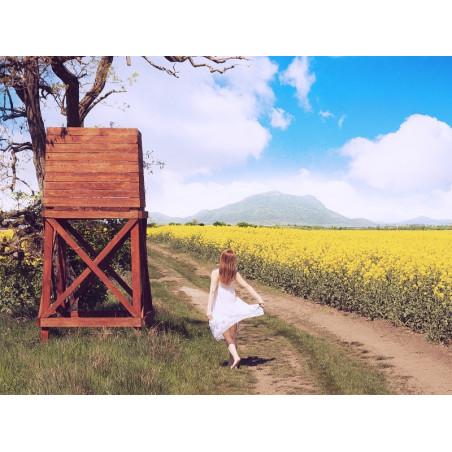 IN THE FIELD II.
