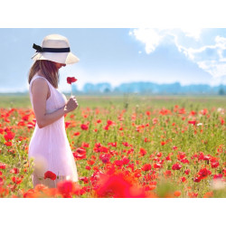 IN THE FIELD IV.