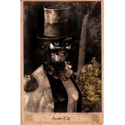 AVARITIA