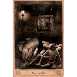 LUXURIA